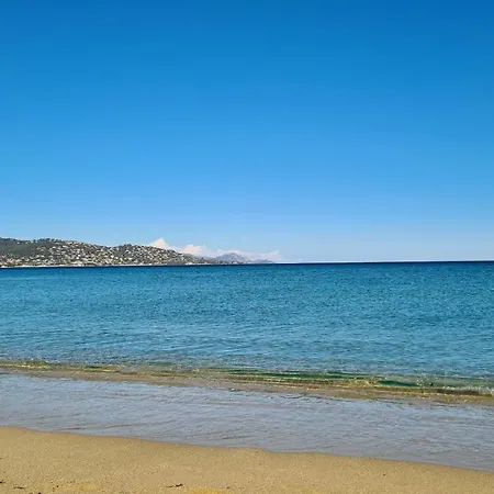 Lägenhet Superbe T2 800m Centre Maxime Et Plage *